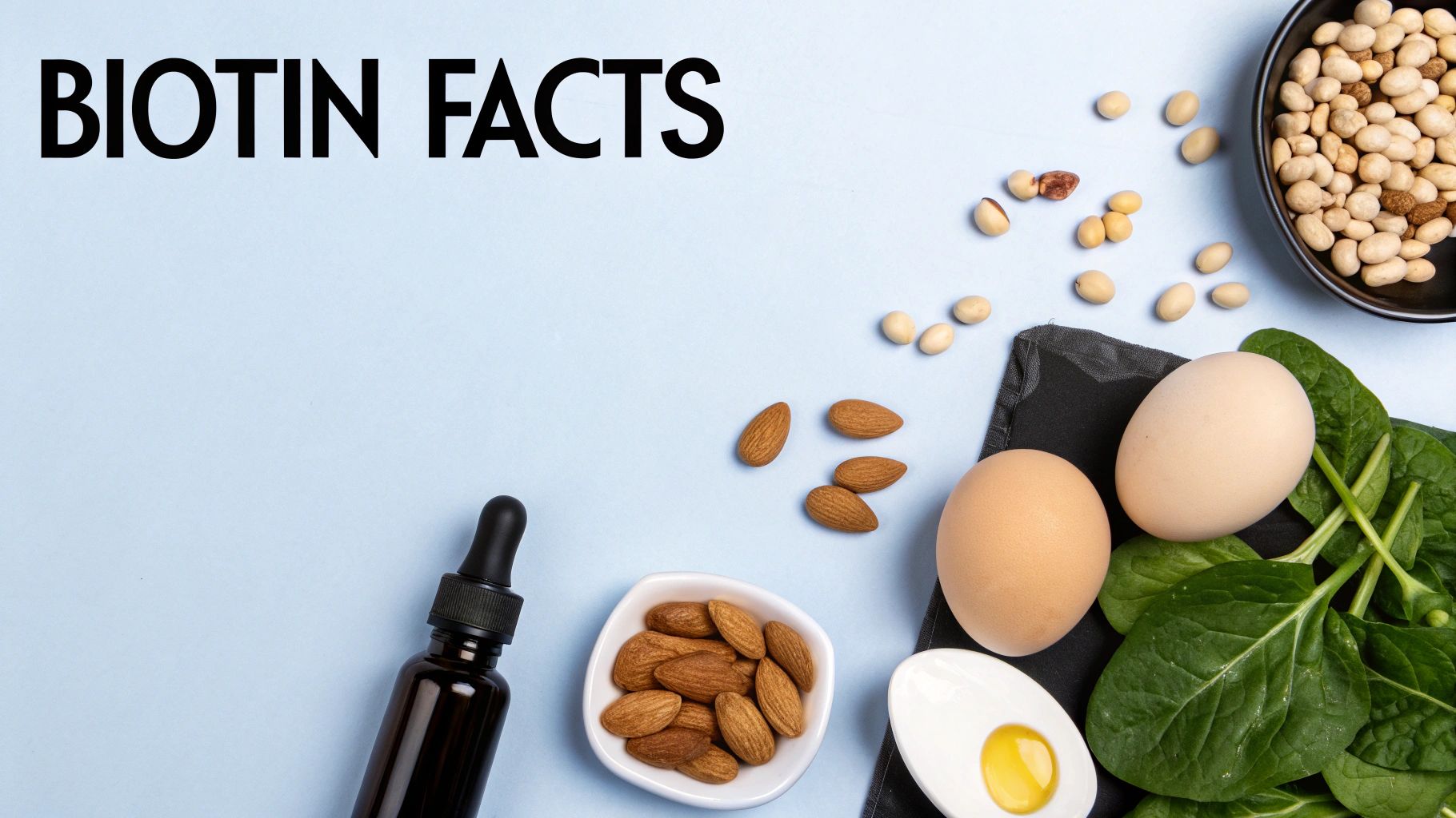 A collage of iron-rich foods like red meat and spinach, and zinc-rich foods like oysters and pumpkin seeds.