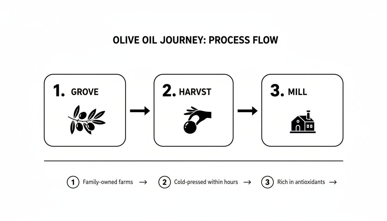 A diagram illustrating the olive oil journey process flow from grove to harvest to mill, highlighting key benefits.