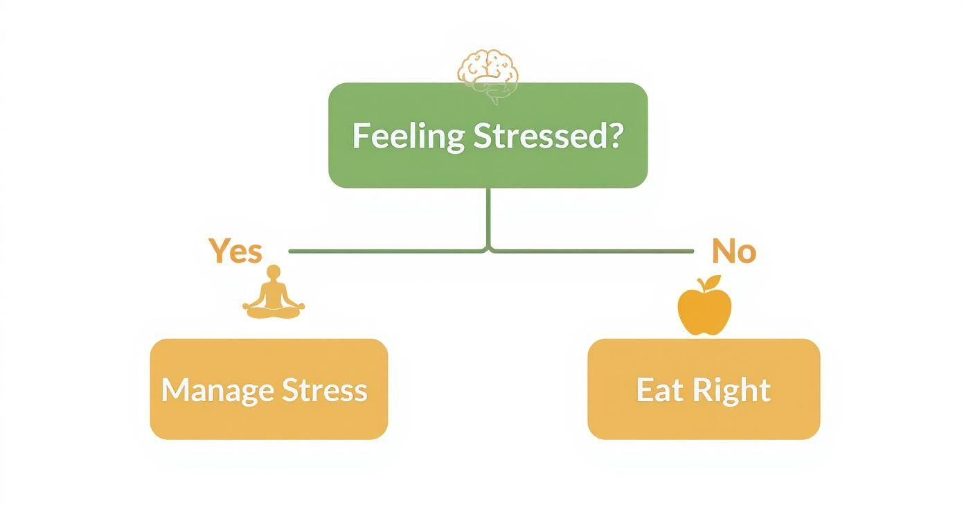 Stress management flowchart showing decision tree with meditation and healthy eating options