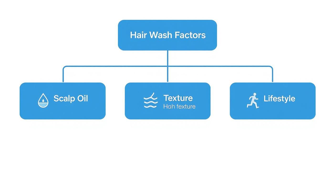 Diagram showing three main hair wash factors: scalp oil levels, hair texture type, and lifestyle activities