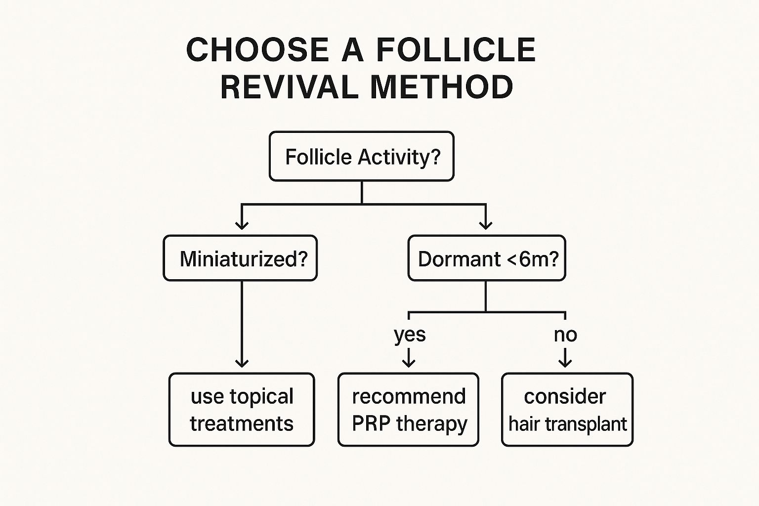 Infographic about can dead follicles be revived