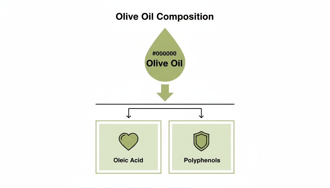 Diagram illustrating olive oil composition, showing it breaks down into oleic acid and polyphenols.