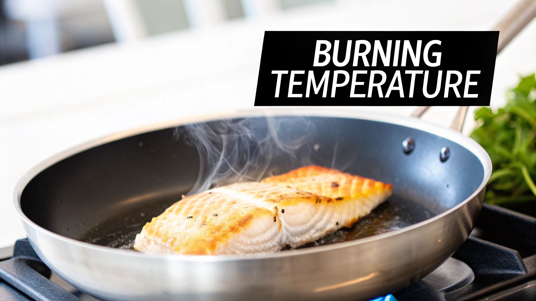 Two salmon fillets cooking in a stainless steel pan on a gas stove with steam rising, text reads 'Burning Temperature'.
