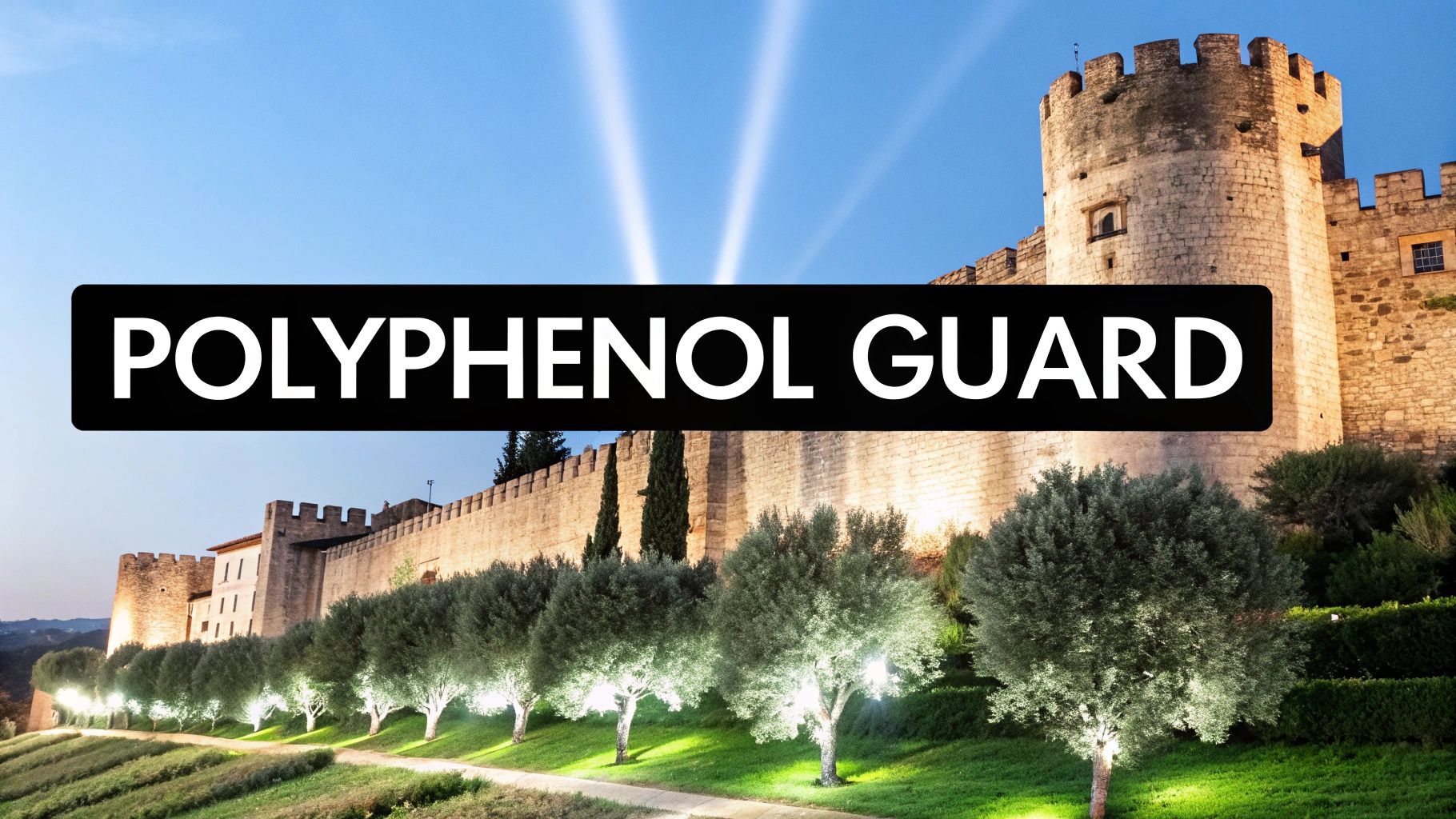 Close-up of golden extra virgin olive oil being poured from a dark bottle.