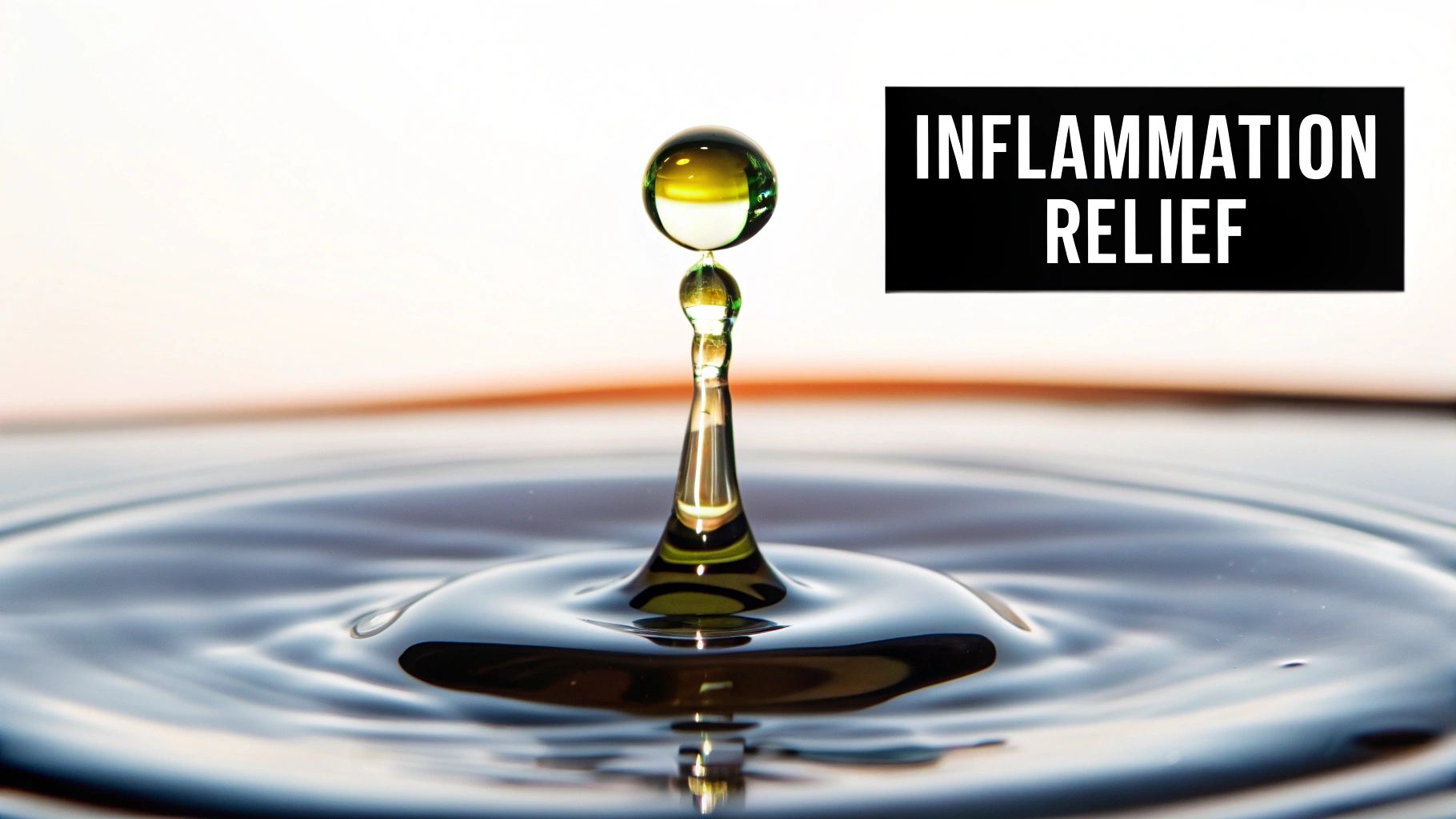 Enhanced Nutrient Absorption