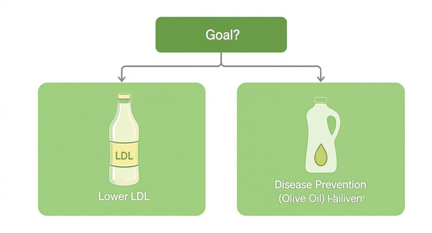 Diagram illustrating health goals, comparing strategies for lowering LDL cholesterol and disease prevention using olive oil.
