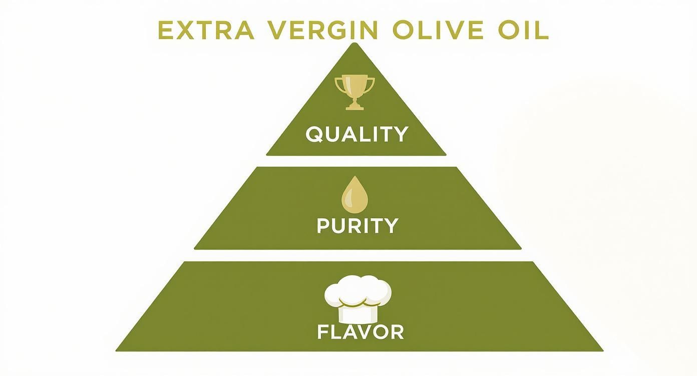 Pyramid illustrating extra virgin olive oil's core attributes: quality, purity, and flavor.