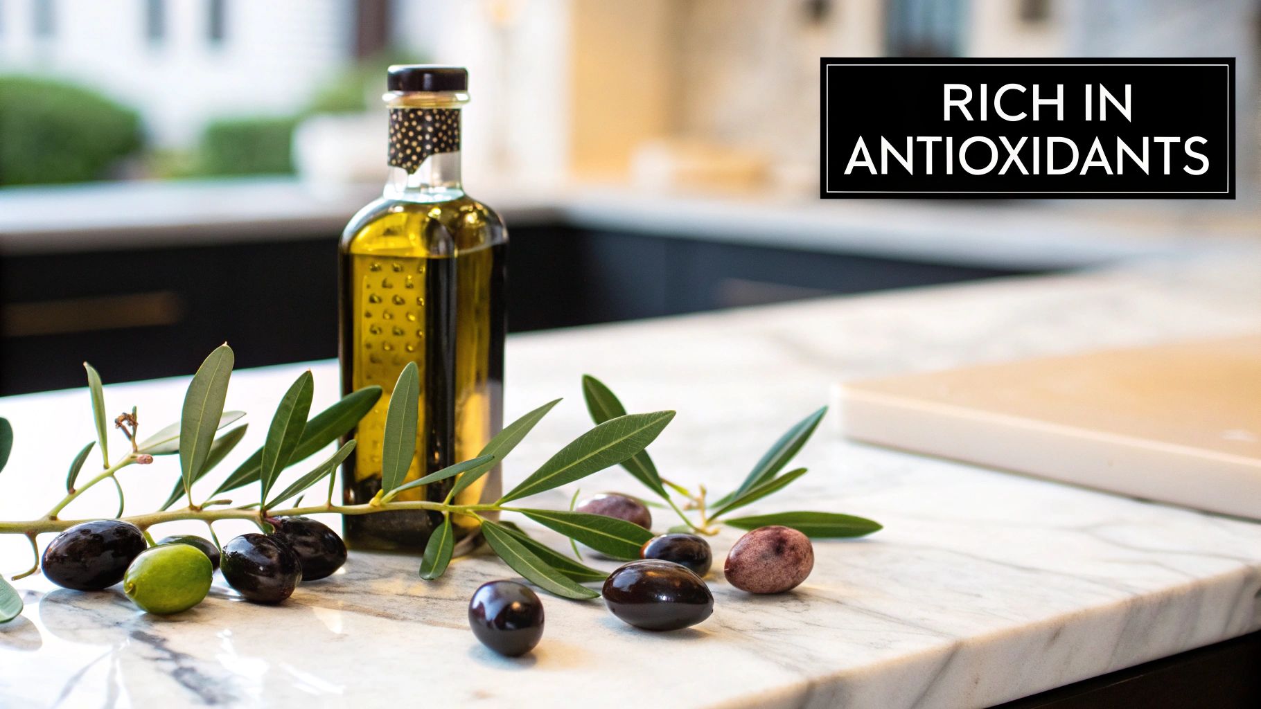 Potent Source of Antioxidants