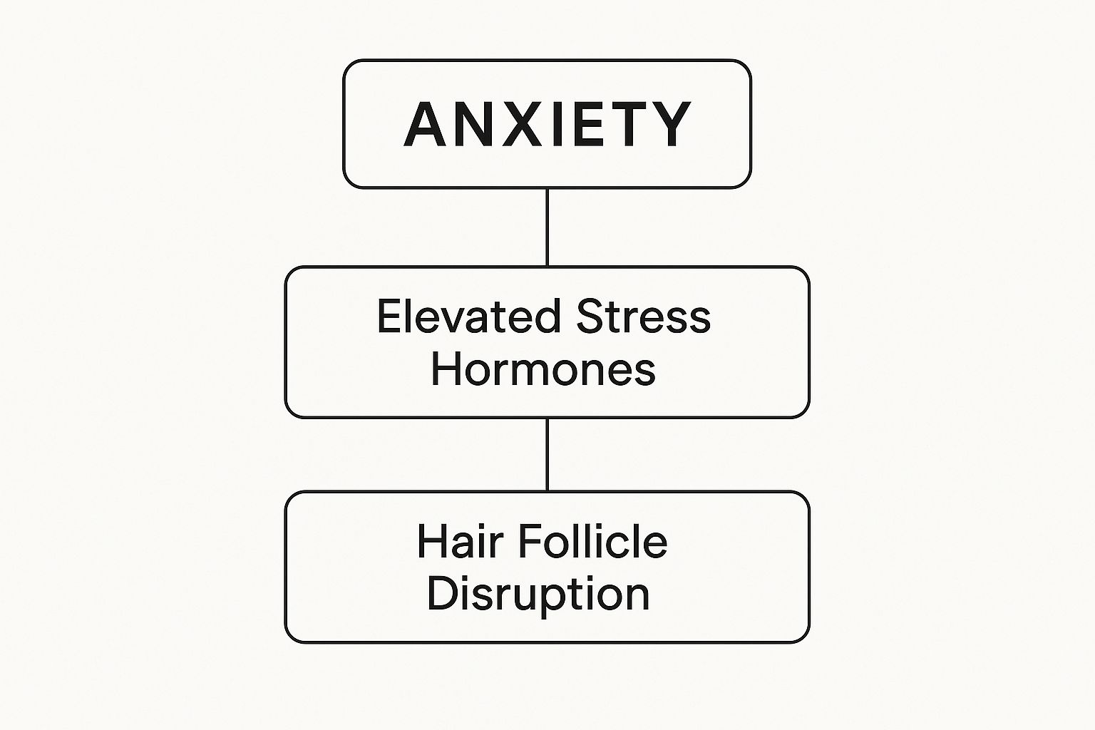 Infographic showing how anxiety leads to elevated stress hormones, which in turn causes hair follicle disruption.