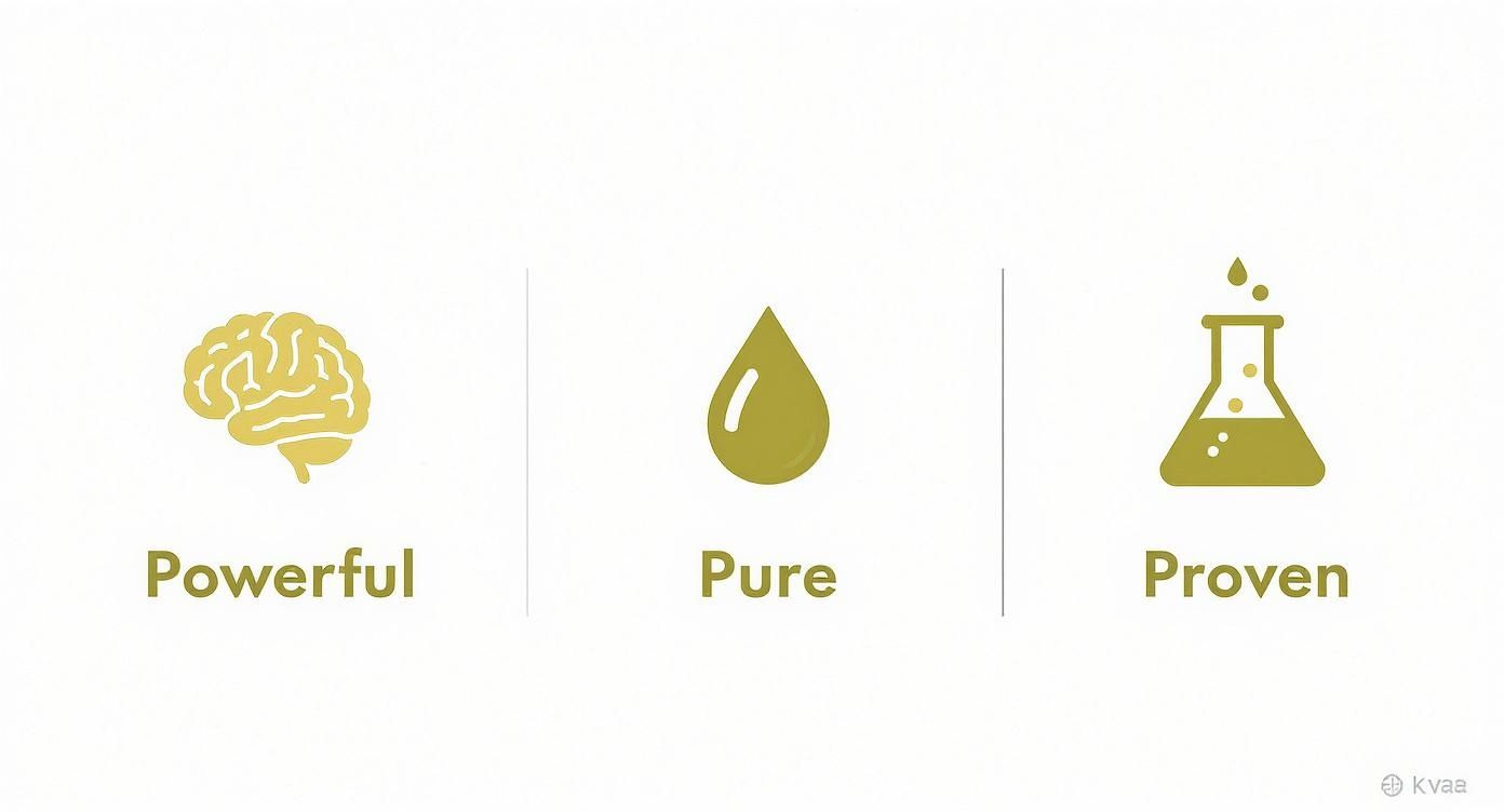 Infographic about cold press olive oil benefits