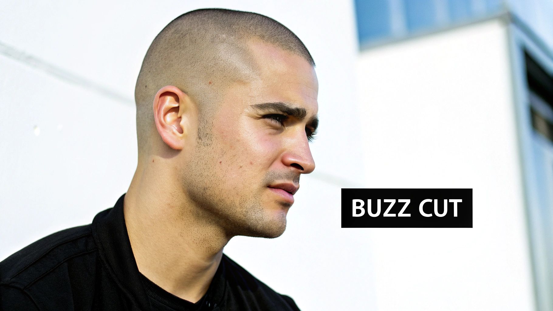 The Buzz Cut / Clipper Cut