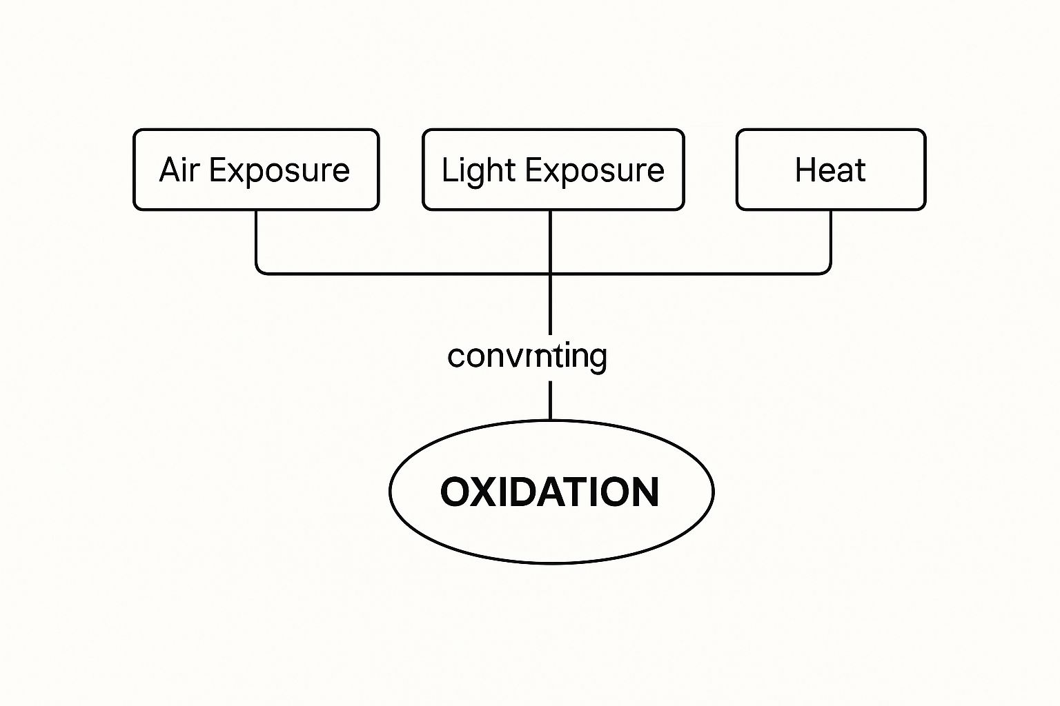 Infographic about can olive oil go rancid