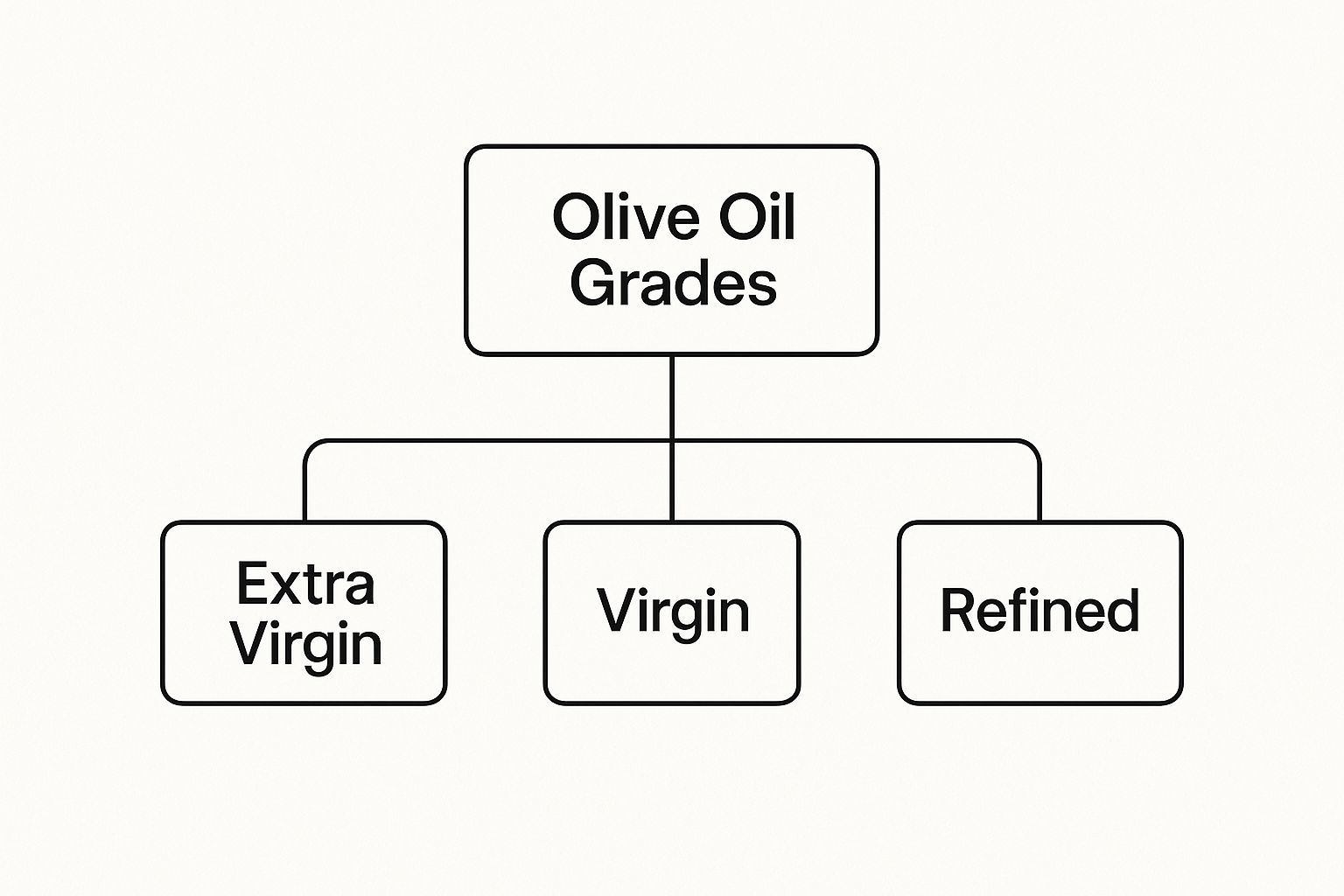 Infographic about how to choose olive oil