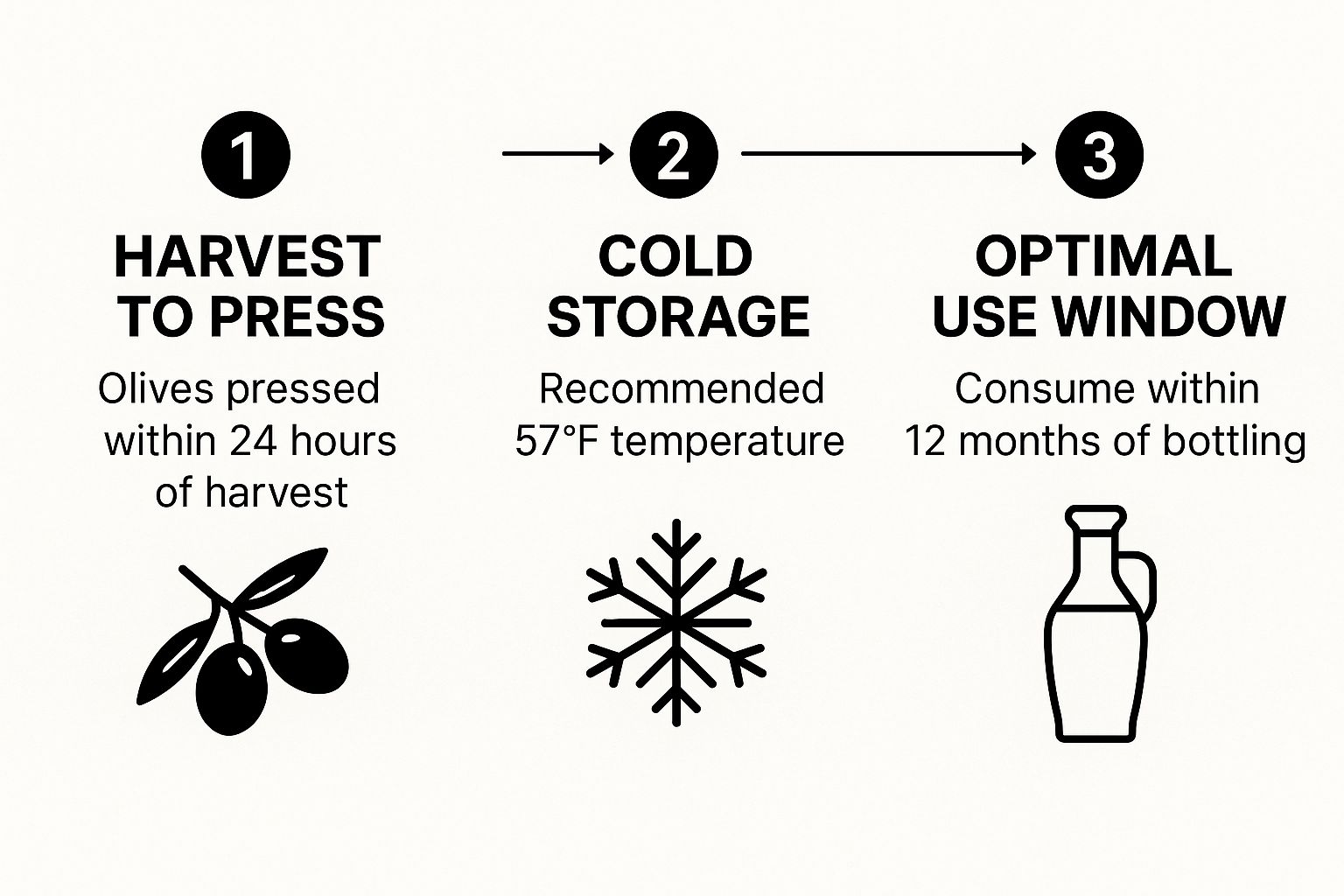 Infographic about olive oil freshness