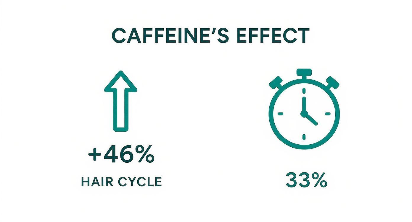 Infographic showing data points on how caffeine shampoo for hair growth works, with icons for the hair cycle and anagen phase.