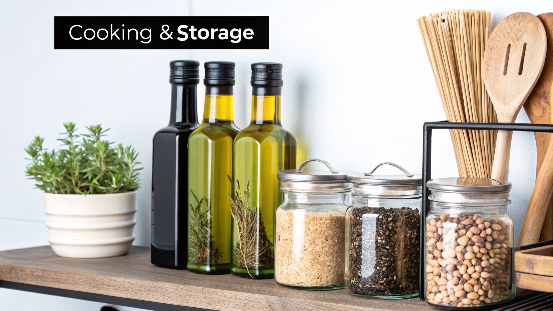 Olive grove stretching across rolling hills under a sunny sky