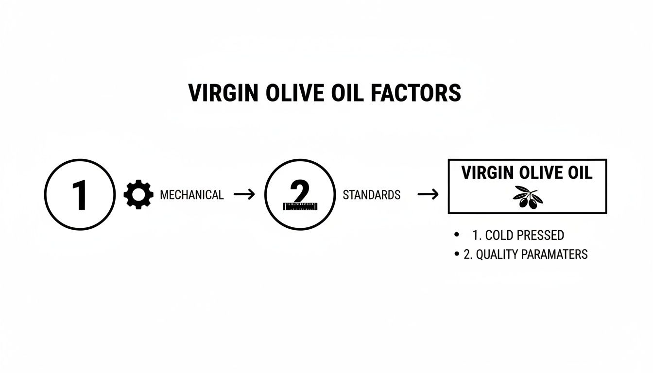 Diagram explaining virgin olive oil factors: mechanical extraction and standards, resulting in cold-pressed oil with quality parameters.