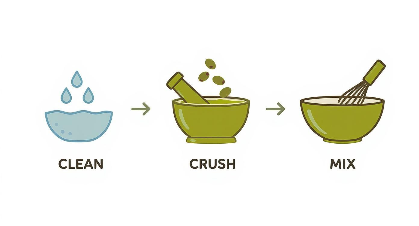 Infographic about extracting oil from olives