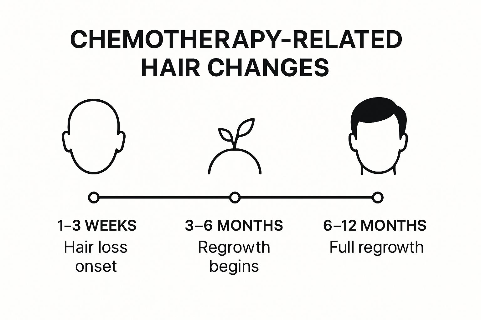 Infographic showing key data about Chemotherapy Drugs (Antineoplastic Agents)