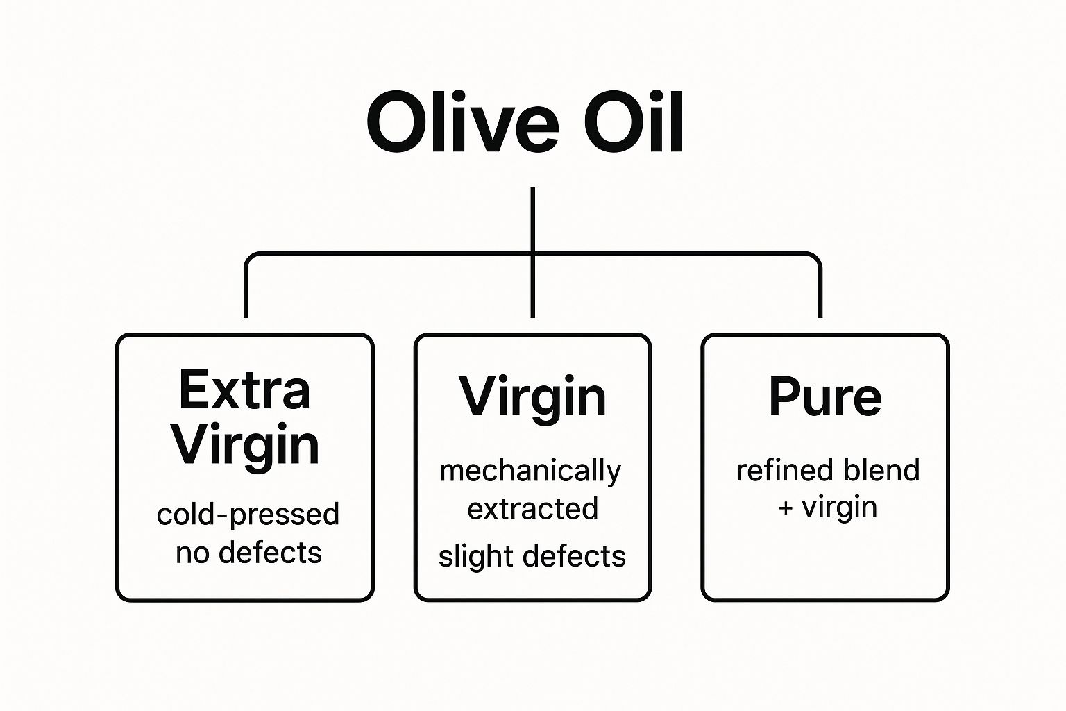 Infographic showing key data about Pure or Virgin Olive Oil is Just a Lower Grade of Extra Virgin