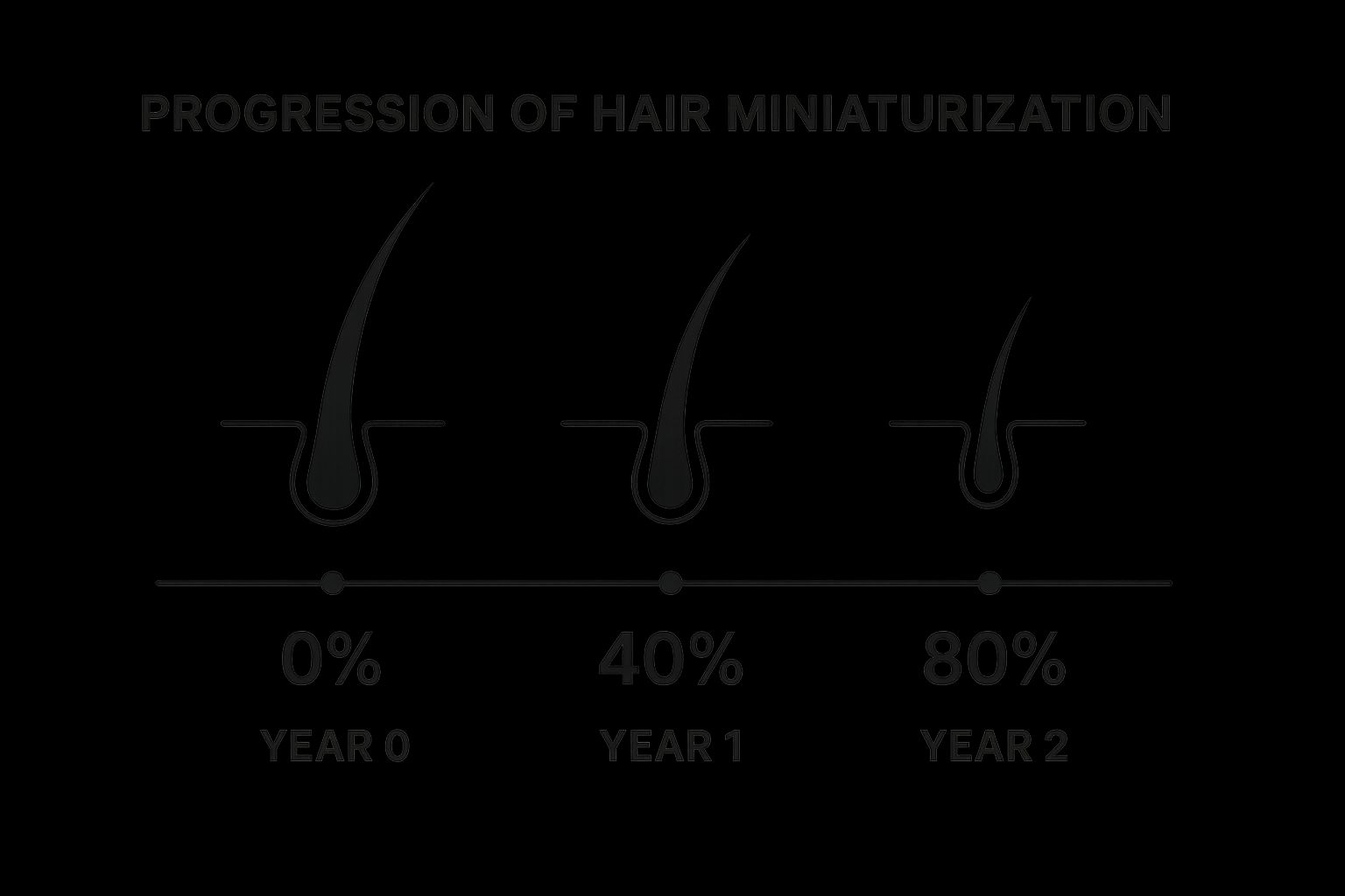 Infographic showing key data about Miniaturization of Hair Follicles