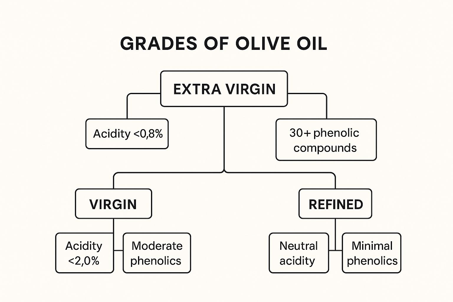 Infographic showing key data about olive oil's impact on health