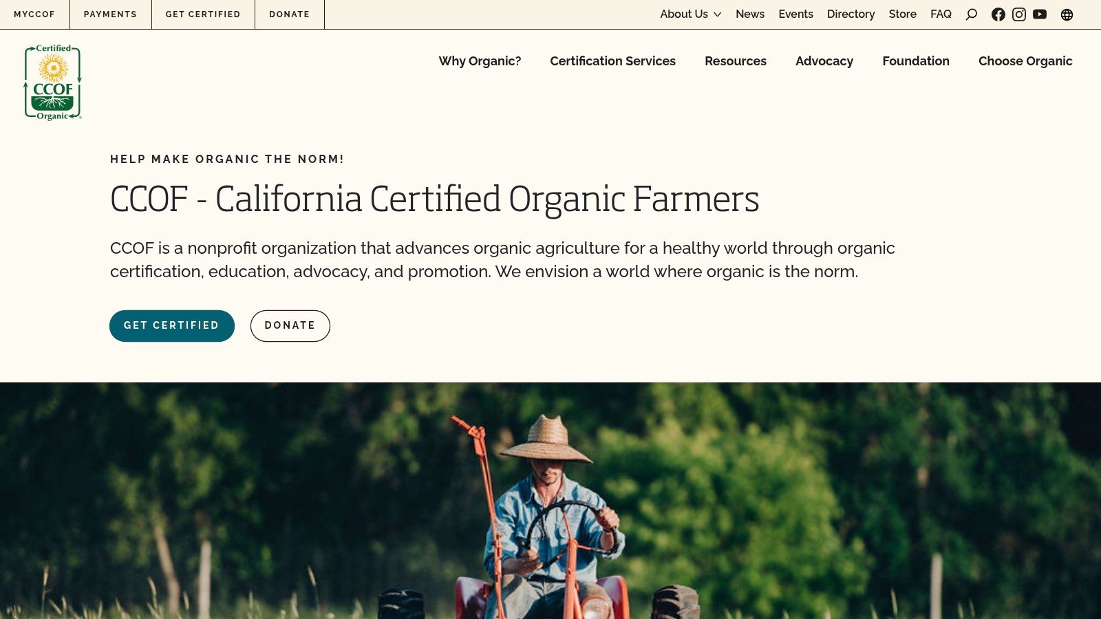 Organic Extra Virgin Olive Oil