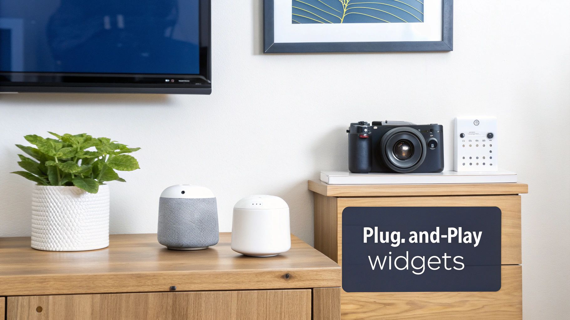 Modern plug-and-play smart home devices, a camera, and a potted plant on a wooden cabinet, with a TV.