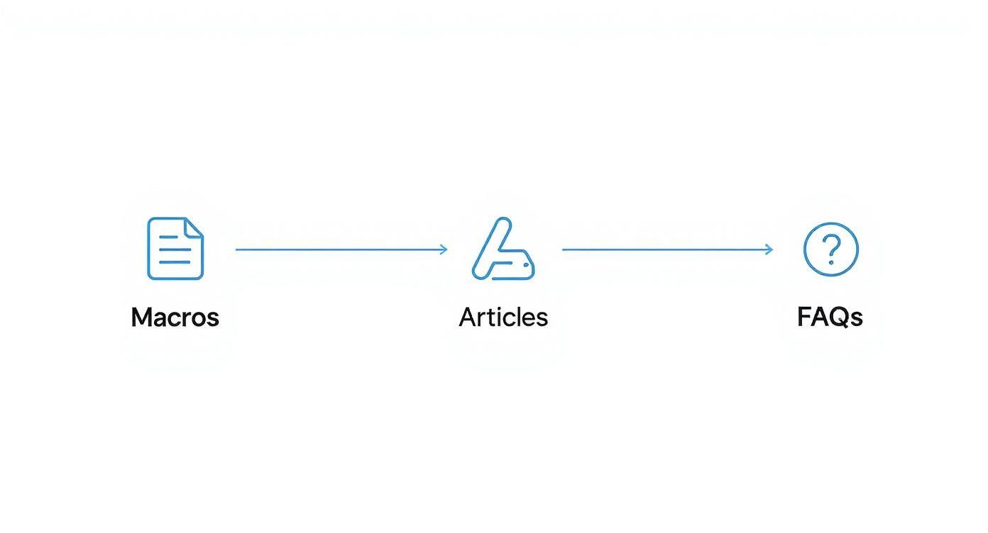 Infographic about customer service in an instant