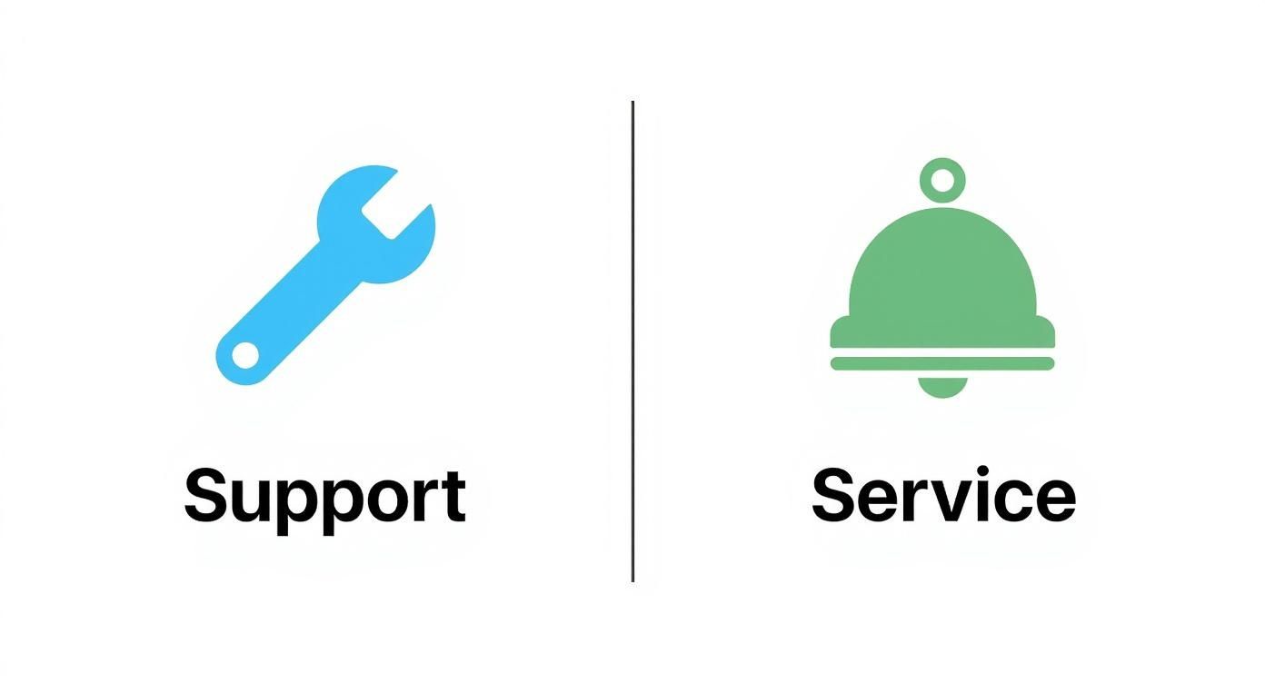 Infographic about customer support vs customer service