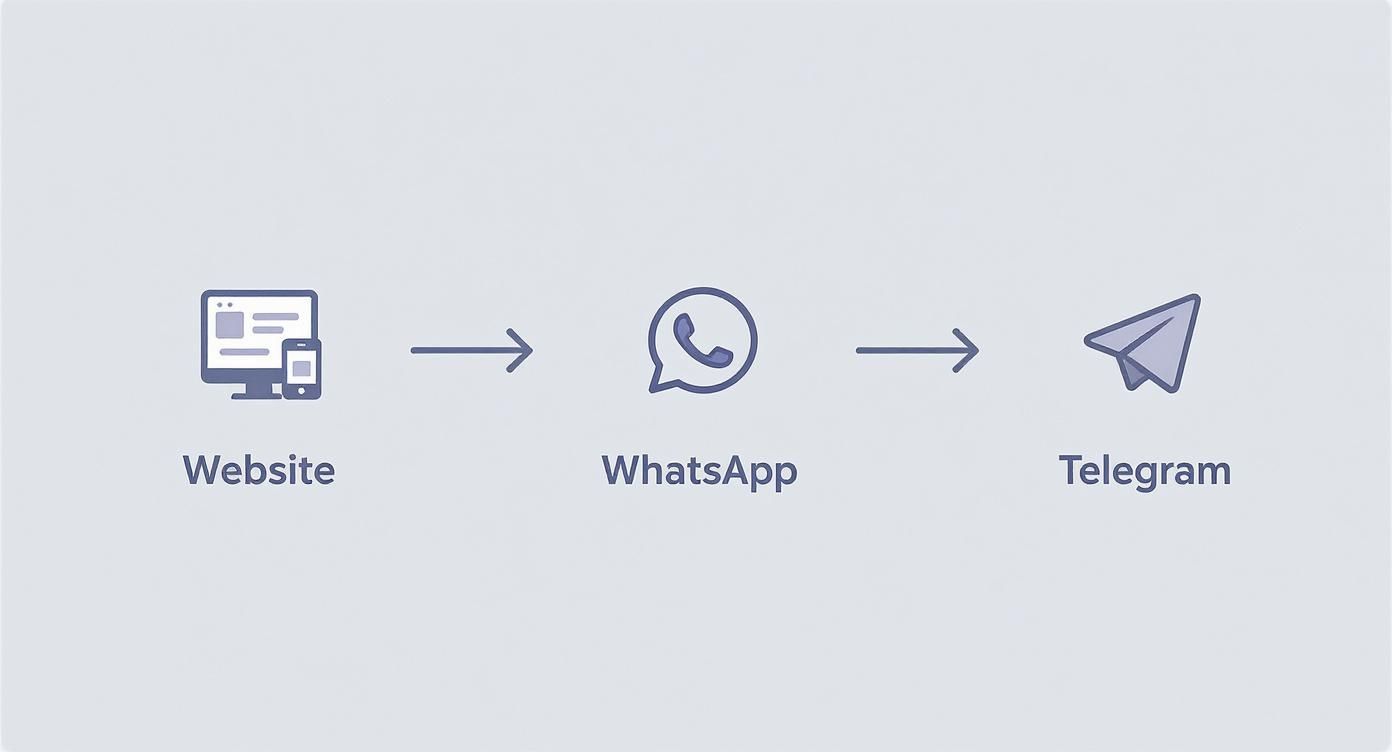 Infographic about chatbots for marketing