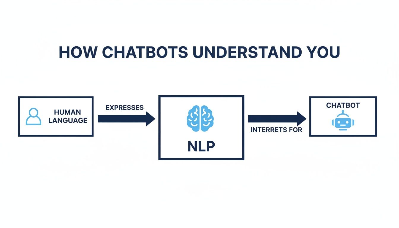 Flowchart illustrating how chatbots understand human language through Natural Language Processing (NLP).