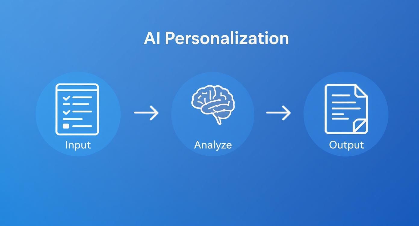 Infographic about leadmagnet pdf