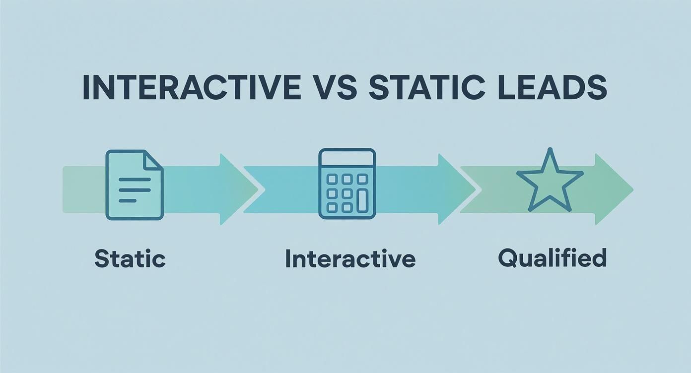 Infographic about landing pages saas
