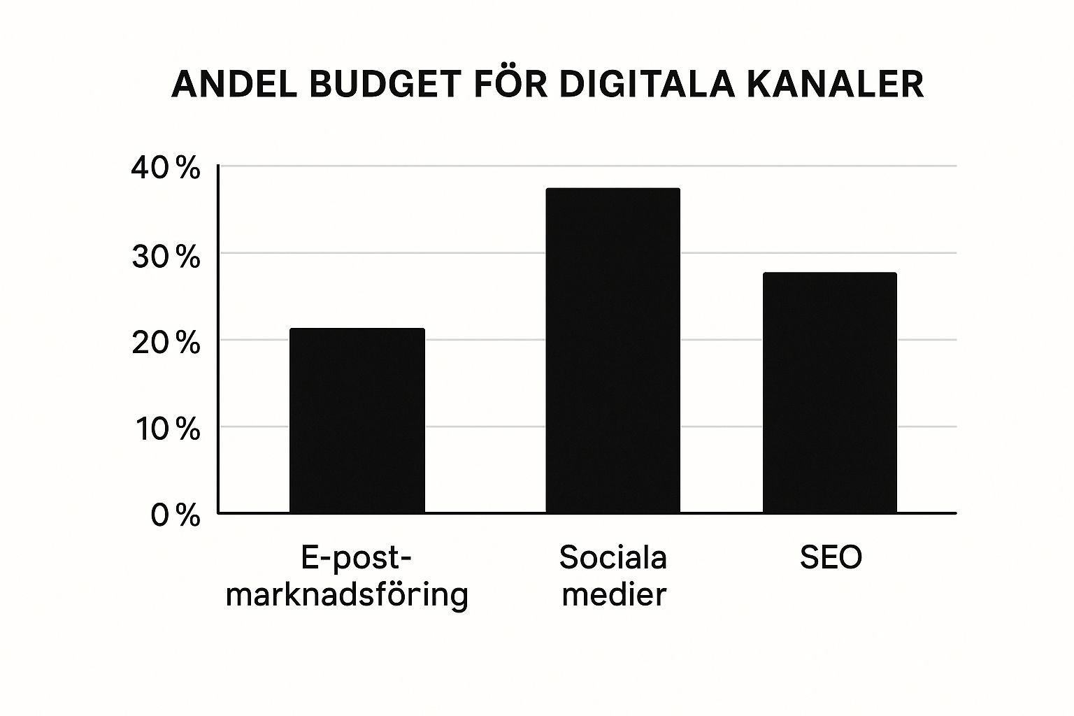 Infographic about vad är digital marknadsföring