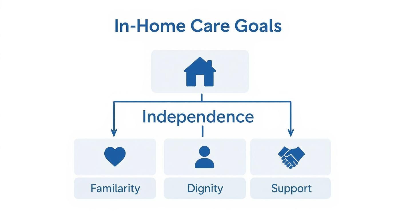 Infographic about in home care for seniors