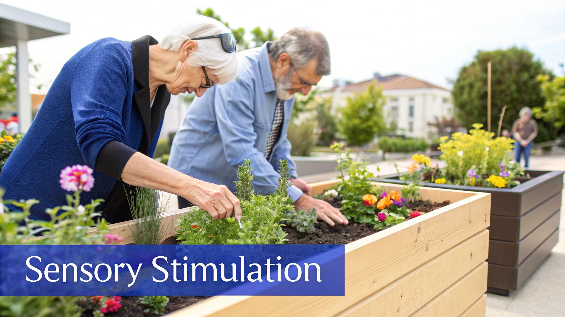 Sensory Stimulation Activities and Sensory Gardens