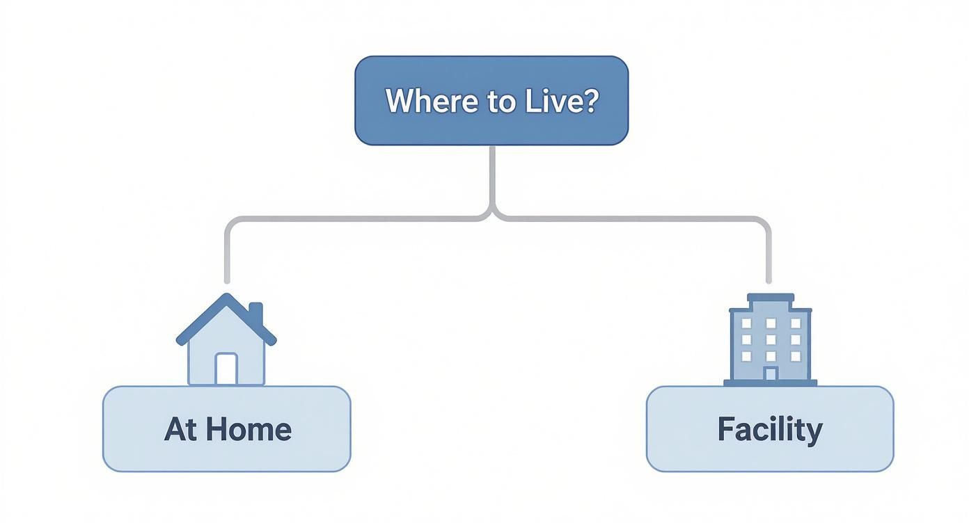 Flowchart illustrating living options, asking 'Where to Live?' with branches for 'At Home' and 'Facility'.