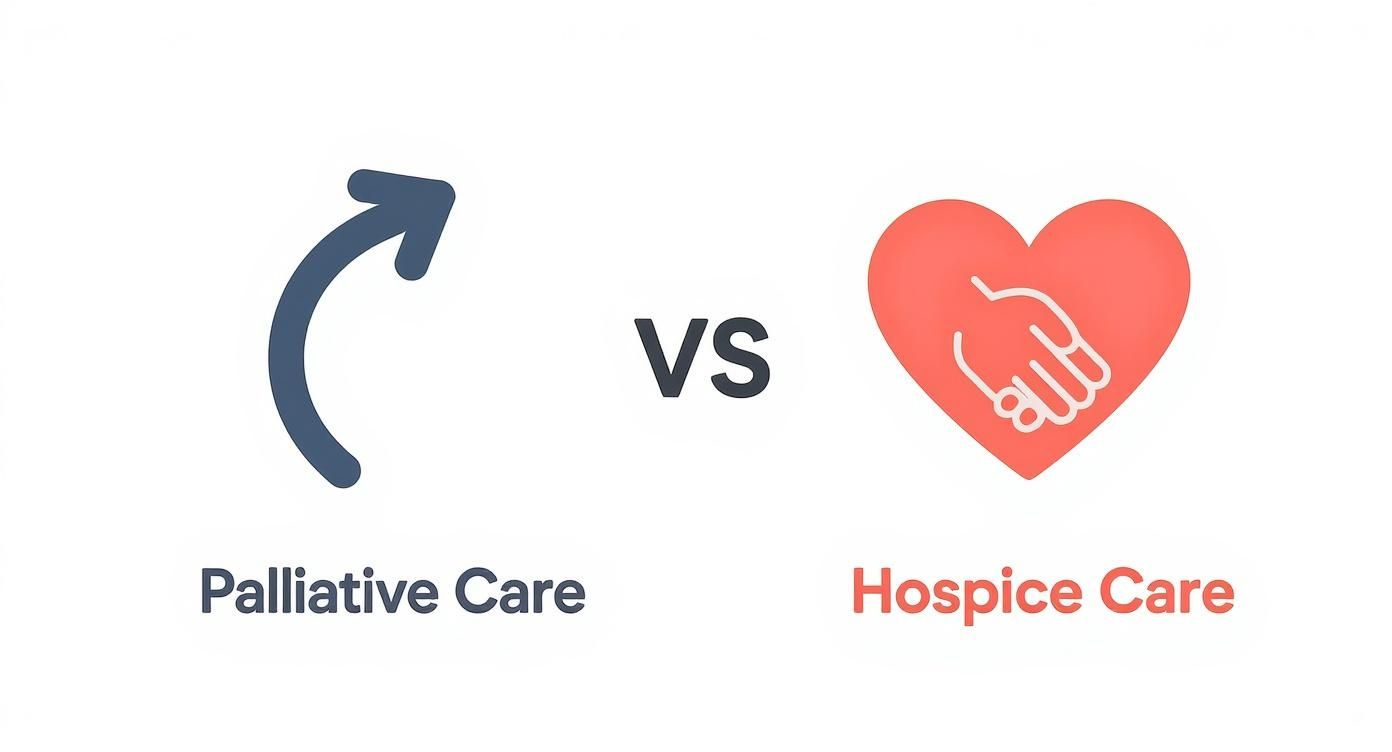 Infographic comparing Palliative Care, represented by an arrow, and Hospice Care, represented by a heart with a hand.