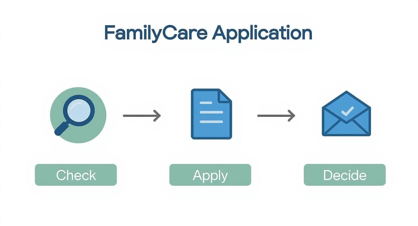 Infographic about how to apply for nj familycare