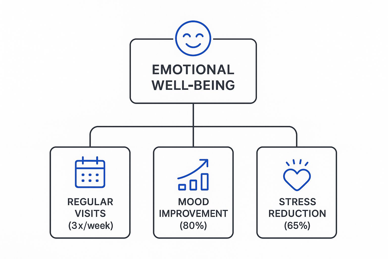 Infographic about senior care companionship