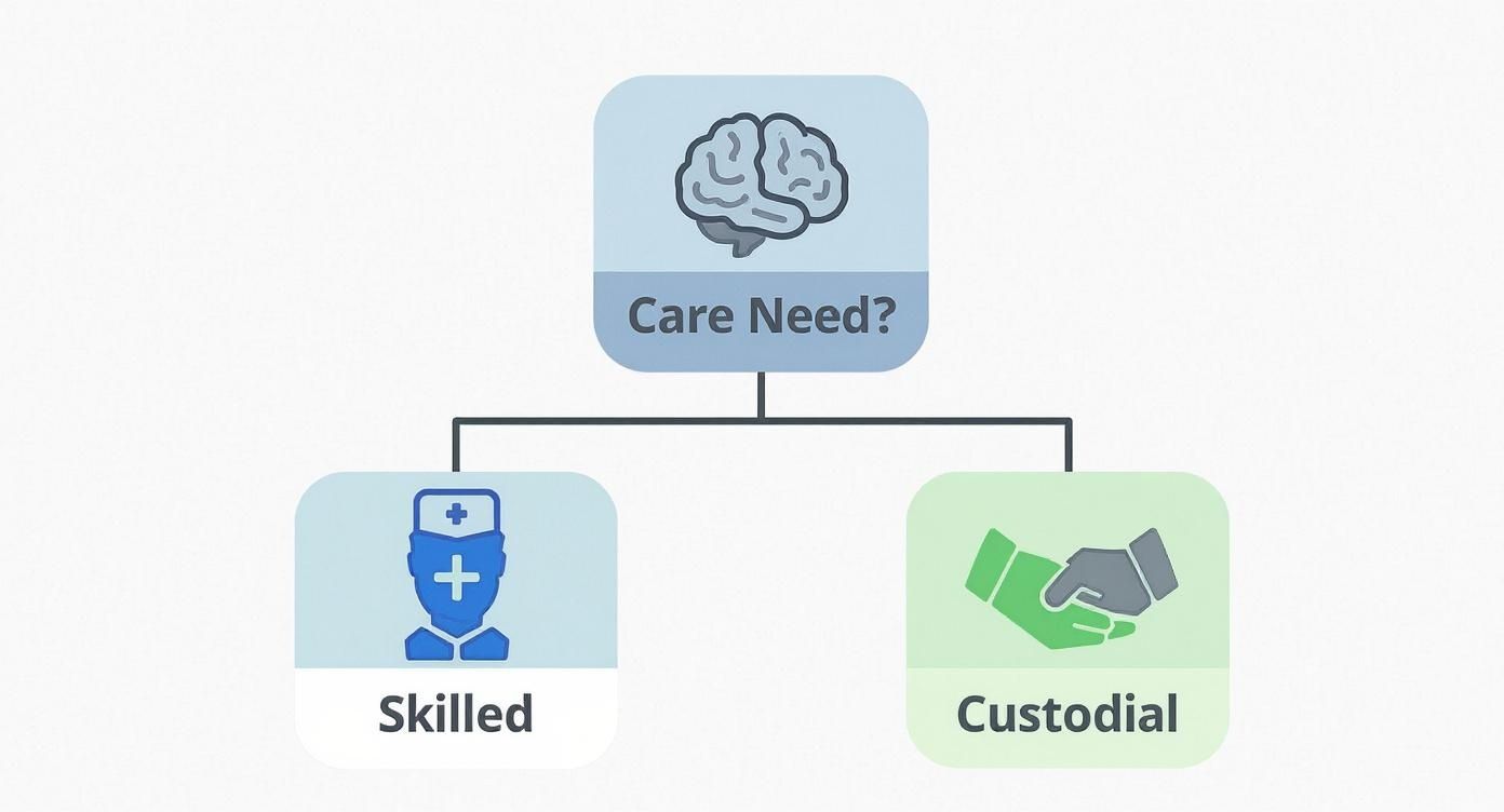 Flowchart showing dementia care needs divided into skilled nursing care and custodial care options