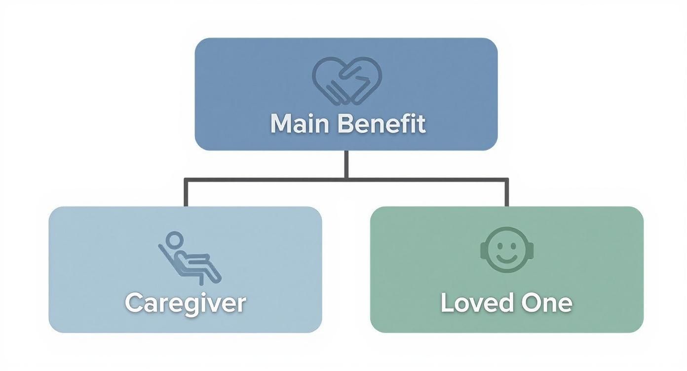 Infographic about in home respite services