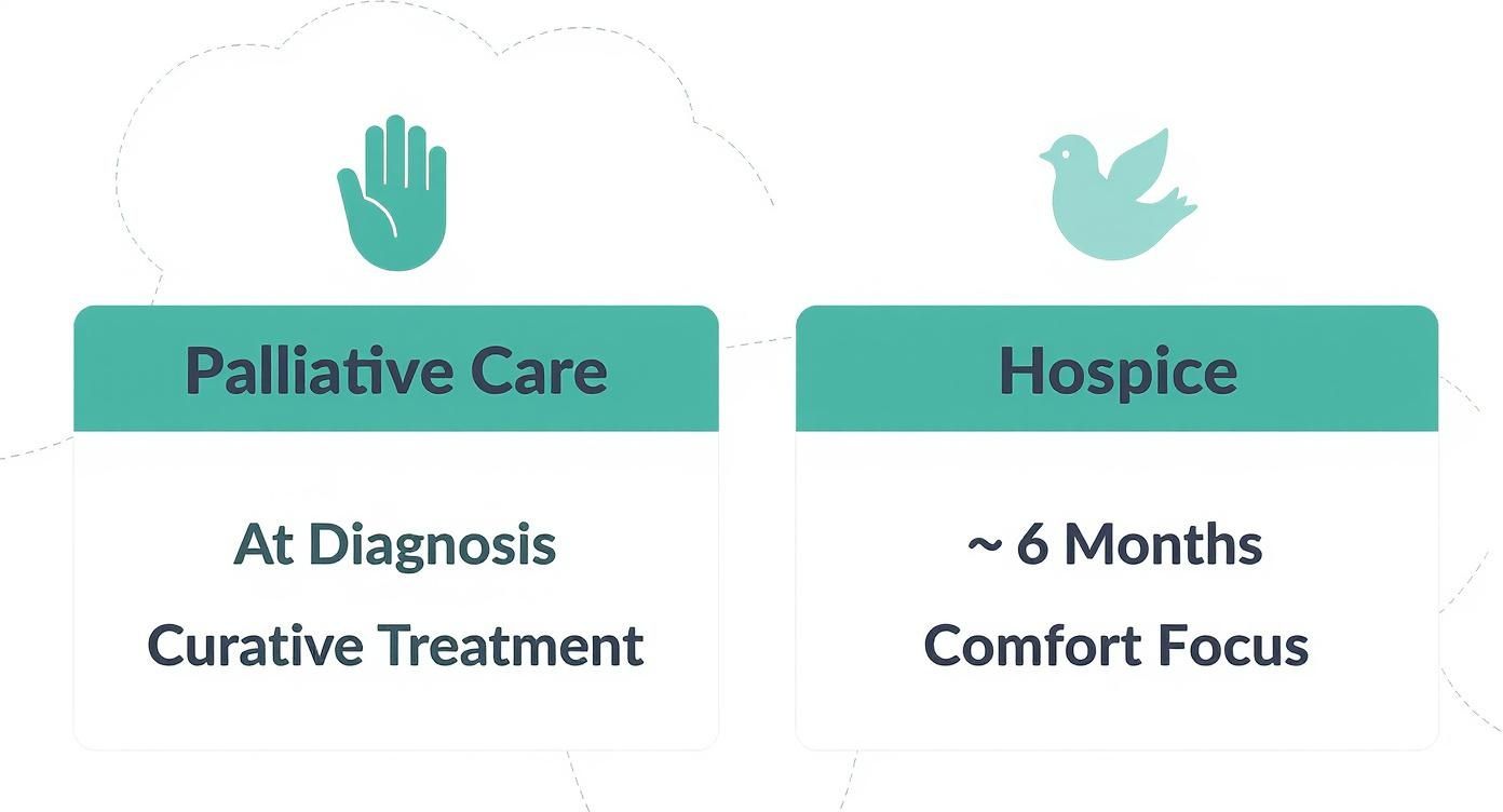 Infographic about does medicare pay for palliative care