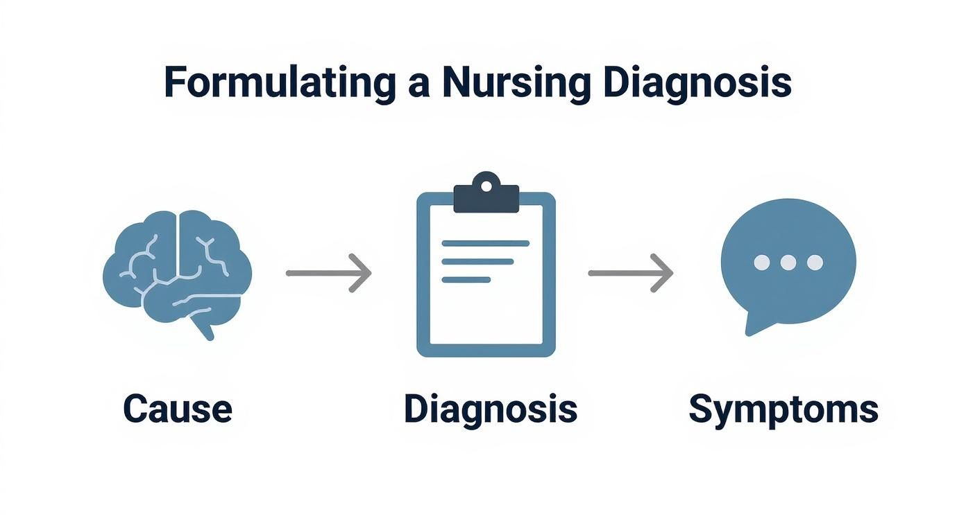 Infographic about nursing care plan for anxiety