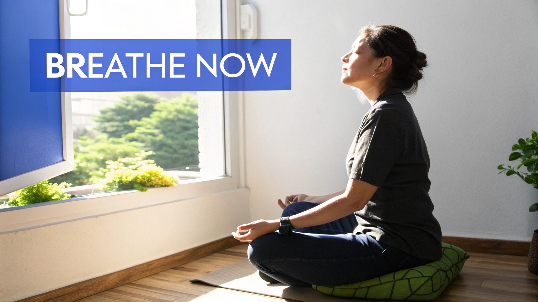 Mindfulness and Meditation Practice