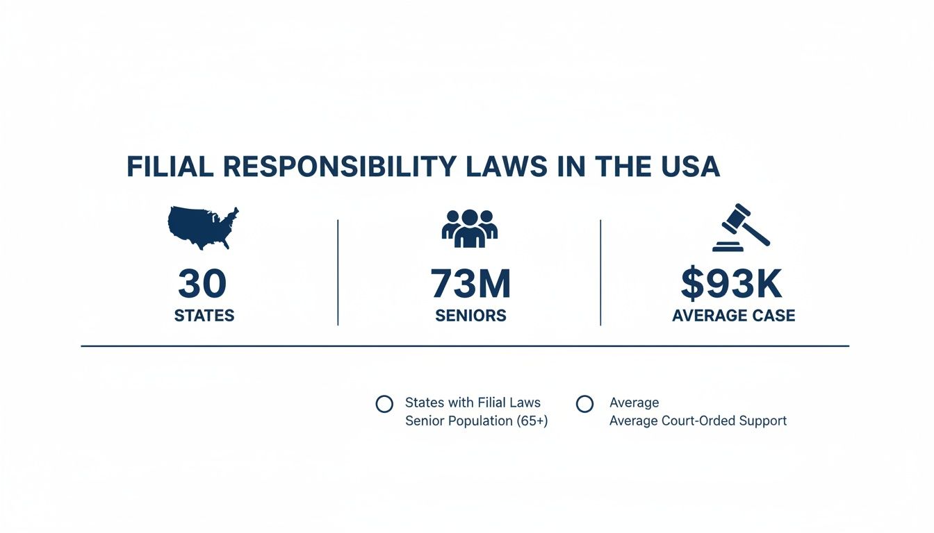 Infographic details filial responsibility laws in the USA: 30 states, 73M seniors, $93K average case.