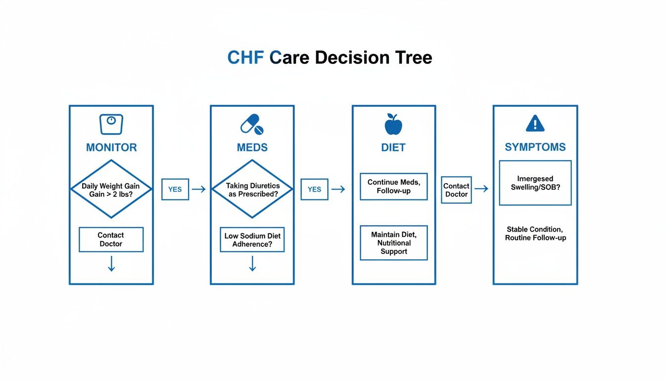 A CHF care decision tree flowchart showing steps for monitoring, medications, diet, and symptom management.