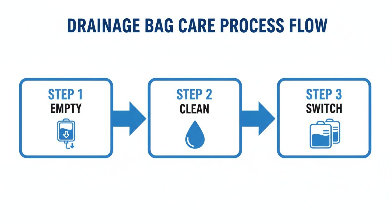 A three-step process flow for drainage bag care showing empty, clean, and switch steps with icons.