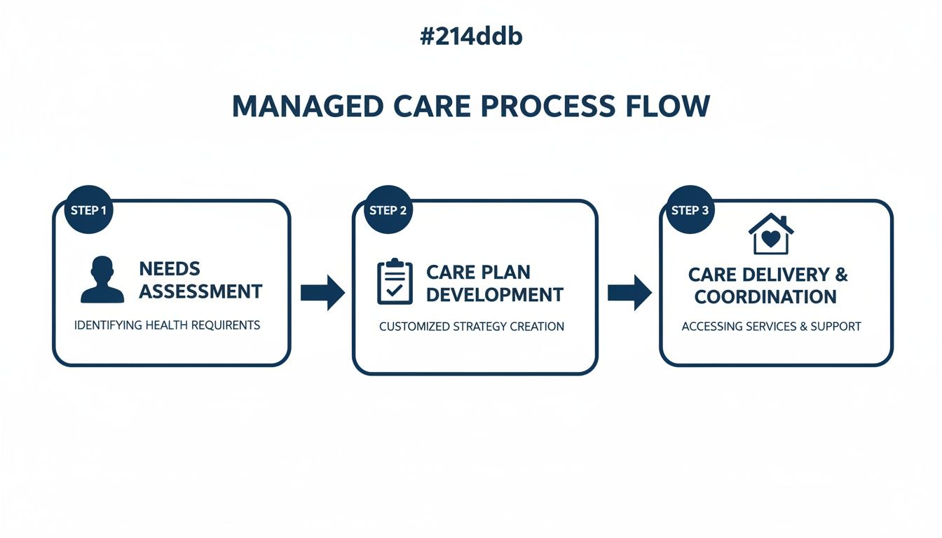 A three-step managed care process flow diagram outlining needs assessment, care plan development, and care delivery coordination.